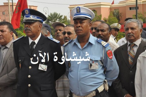 حية العلم 14